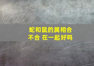 蛇和鼠的属相合不合 在一起好吗